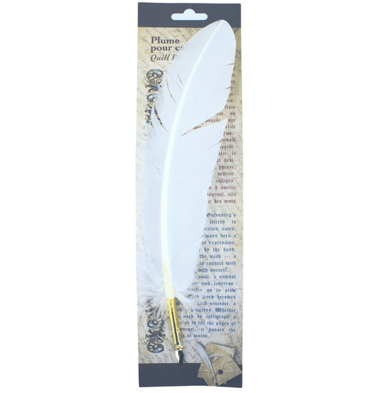 Plume d'oie pour calligraphie - Blanc