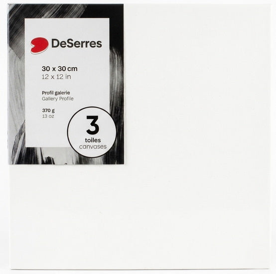 Gallery Canvases - 12x12" (3)