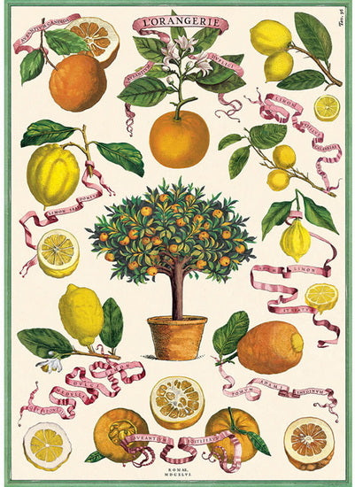 Affiche l'orangerie - 20x28po
