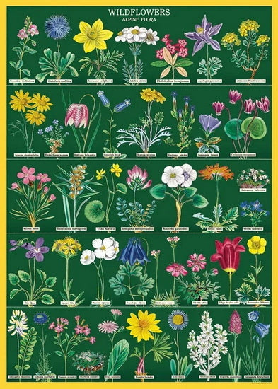 Affiche fleurs sauvages 2 - 20x28po