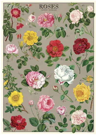 Affiche roses - 20x28po