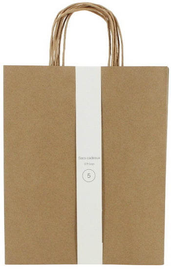 Ens. 5 sacs moyens kraft brun