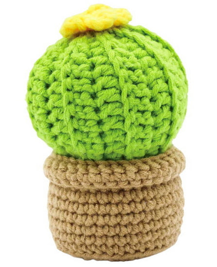 Small Cactus DIY Crochet Kit