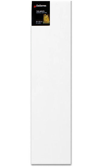 Gallery Canvas - 12 X 48 X 1 1/2"
