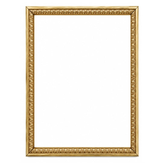 Cadre sans Marie-Louise noir or - 12X16 po
