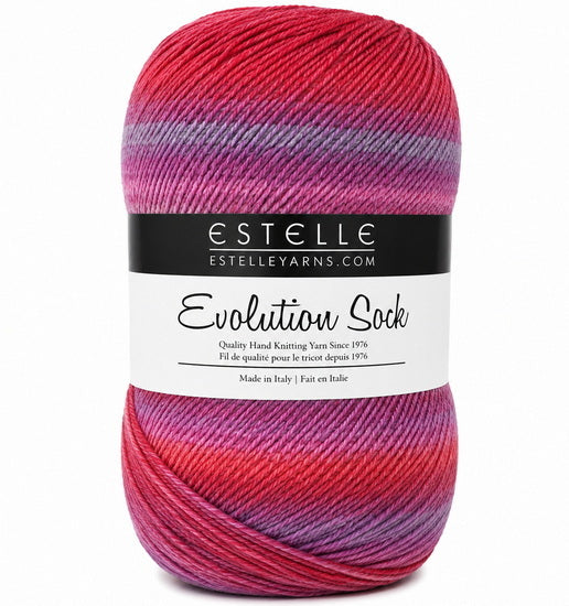 Yarn evolution socks #1 100g bordeaux