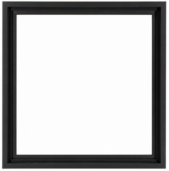 Floater Frame Wood Regular Black - 12''X12''