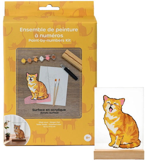 Peinture à numéros sur surface acrylique chat